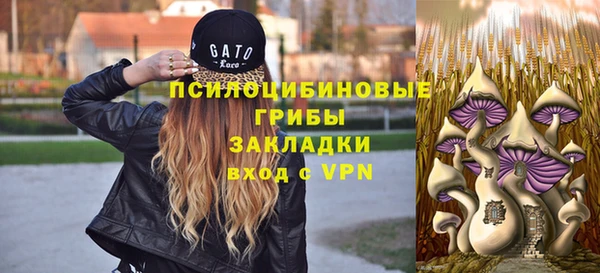 шишки Алексеевка