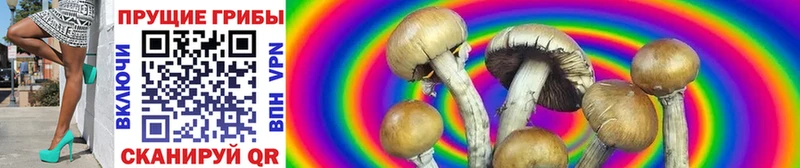Псилоцибиновые грибы GOLDEN TEACHER  Питкяранта 
