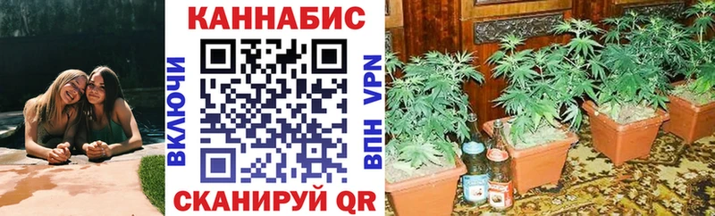 МАРИХУАНА AK-47  где найти наркотики  Питкяранта 
